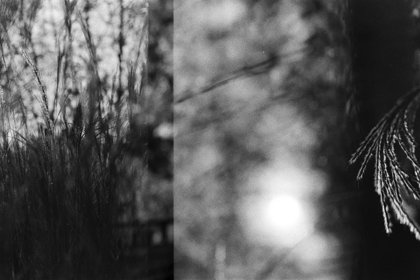 Photo argentique noir et blanc