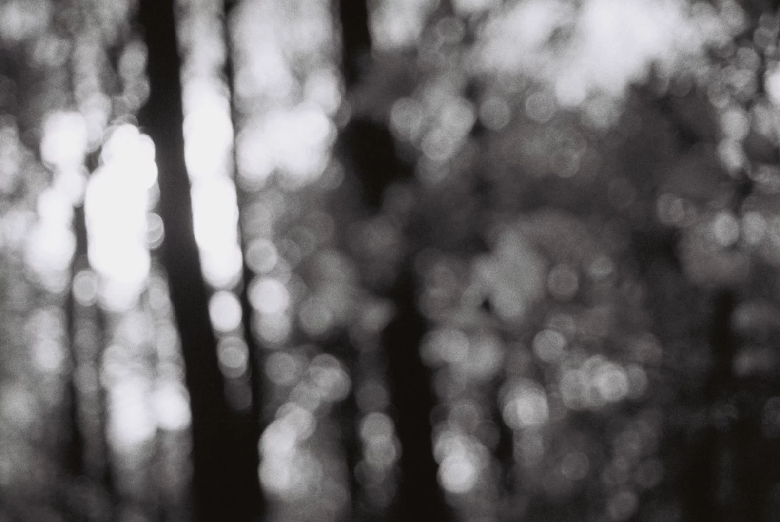 Photo argentique noir et blanc