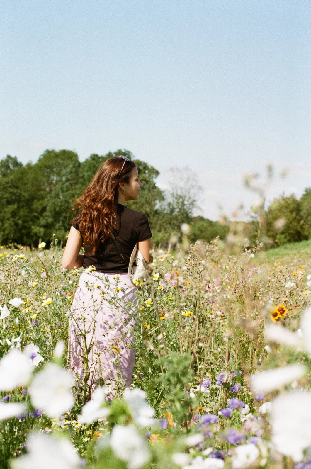 Photo argentique couleur